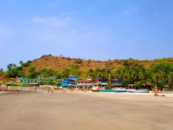 Call Girls in Arambol Beach