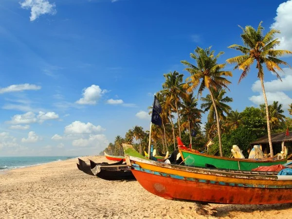 Call Girls in Mobor Beach
